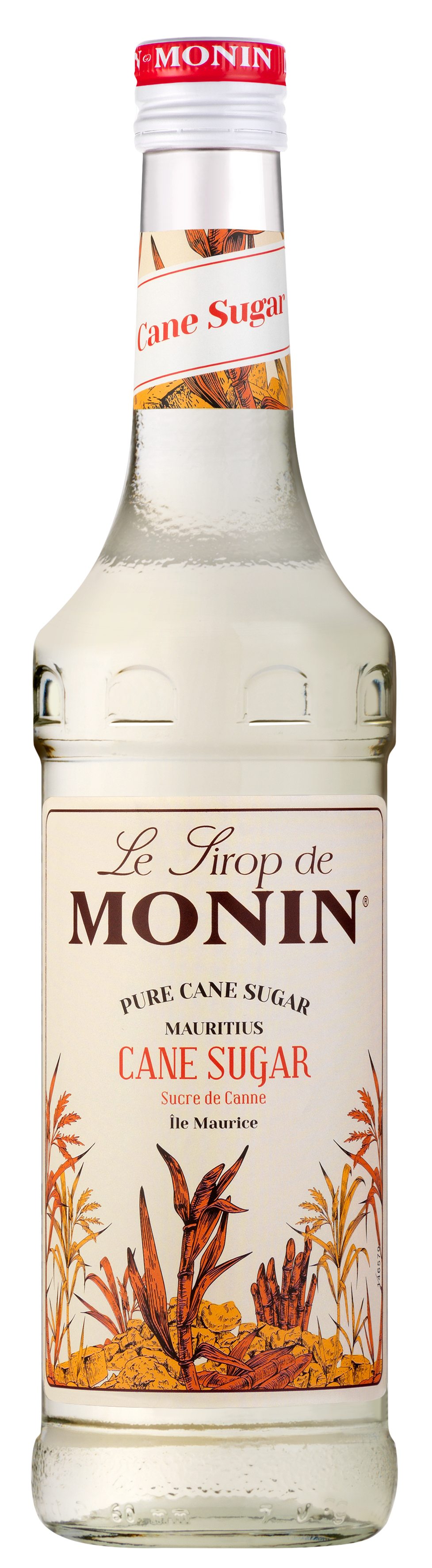 MONIN Pure Cane Sugar Syrup 70cl