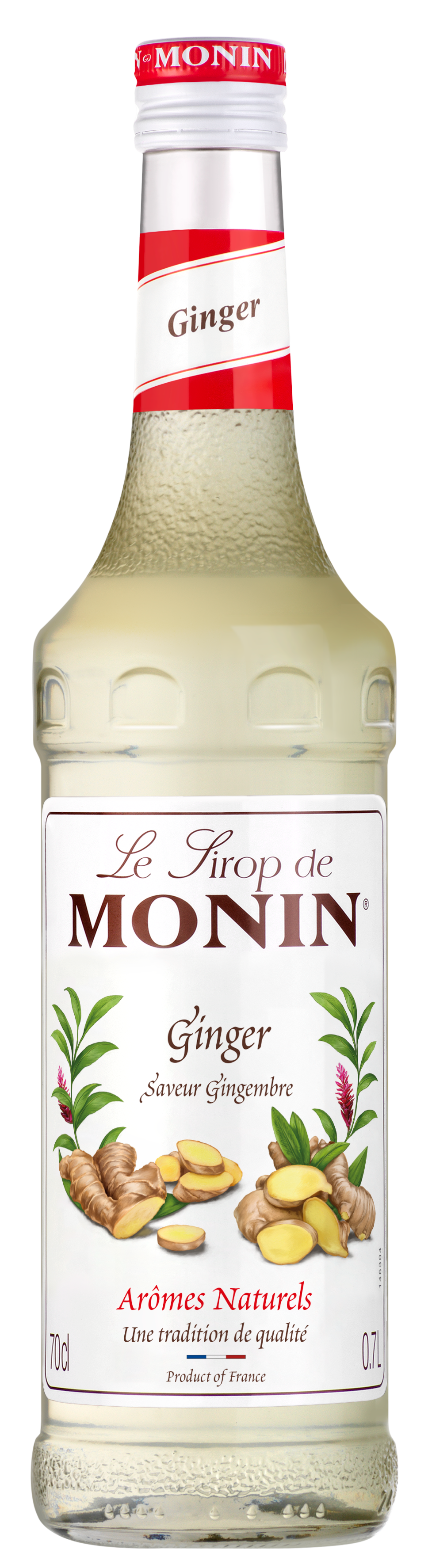 MONIN Ginger Syrup 70cl