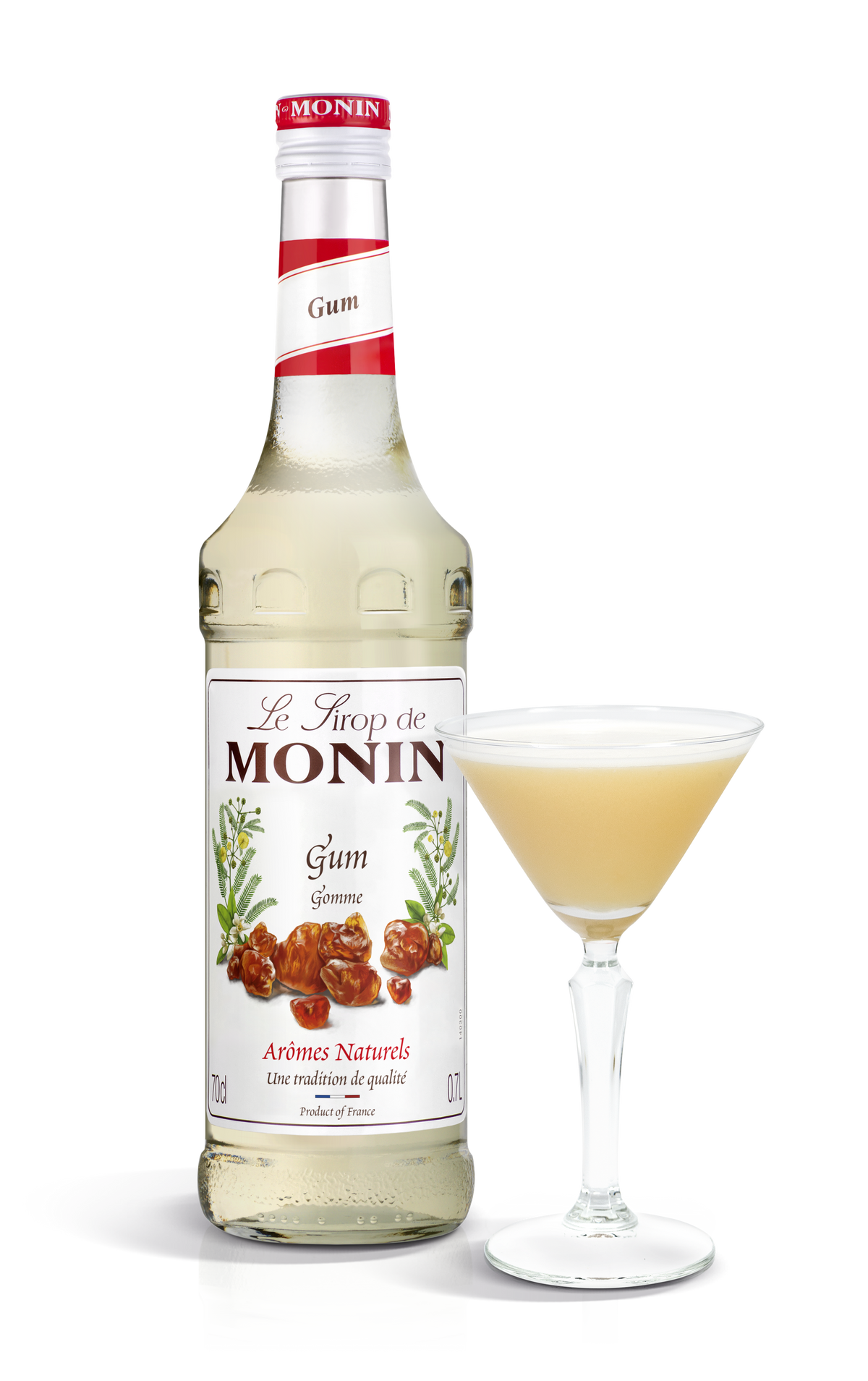MONIN Gum Syrup 70cl