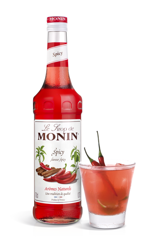 MONIN Spicy Syrup 70cl